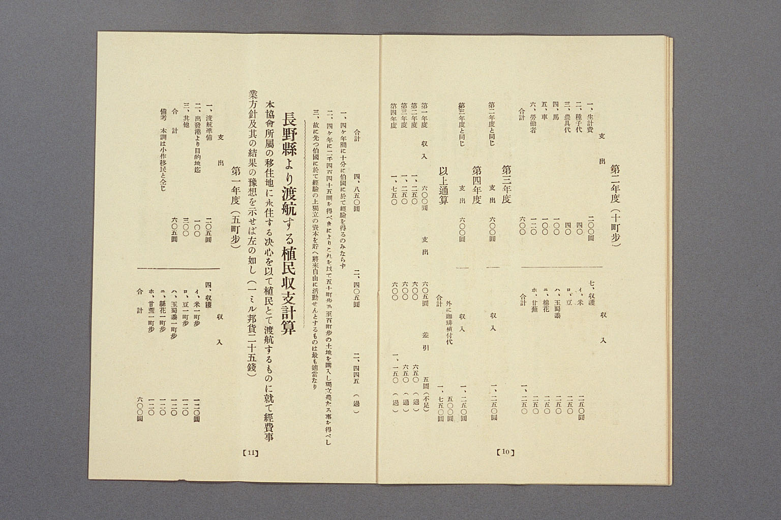 Image “Plan for the establishment of a settlement in Brazil belonging to the Shinano Kaigai Kyokai (Shinano Overseas Society)”