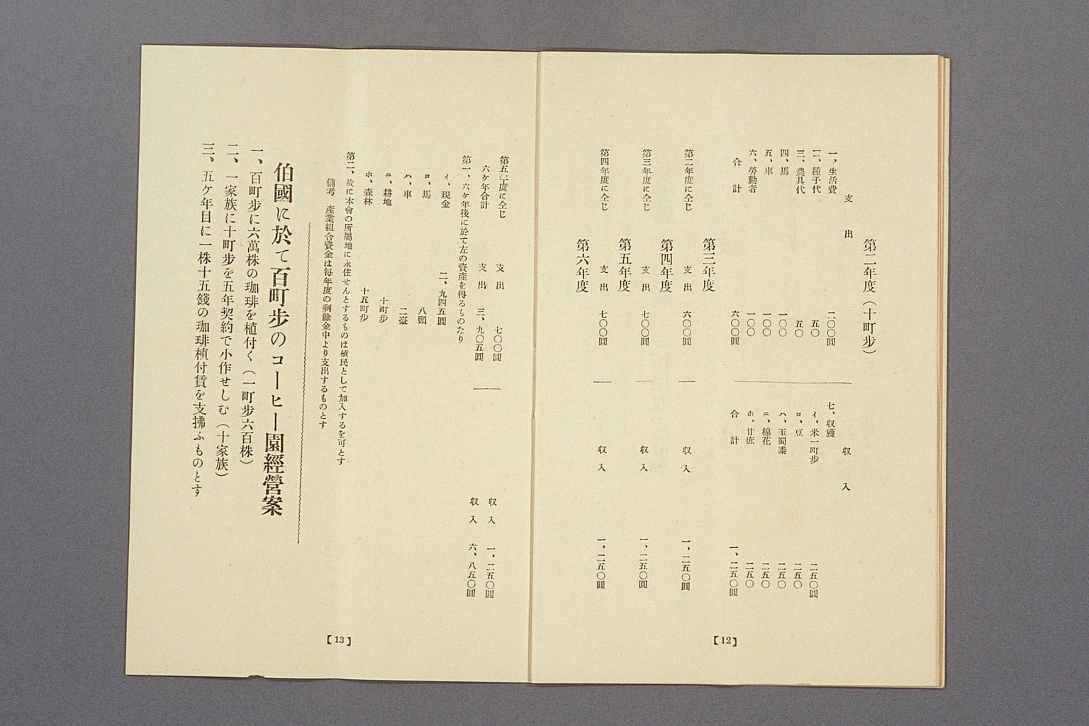 Image “Plan for the establishment of a settlement in Brazil belonging to the Shinano Kaigai Kyokai (Shinano Overseas Society)”