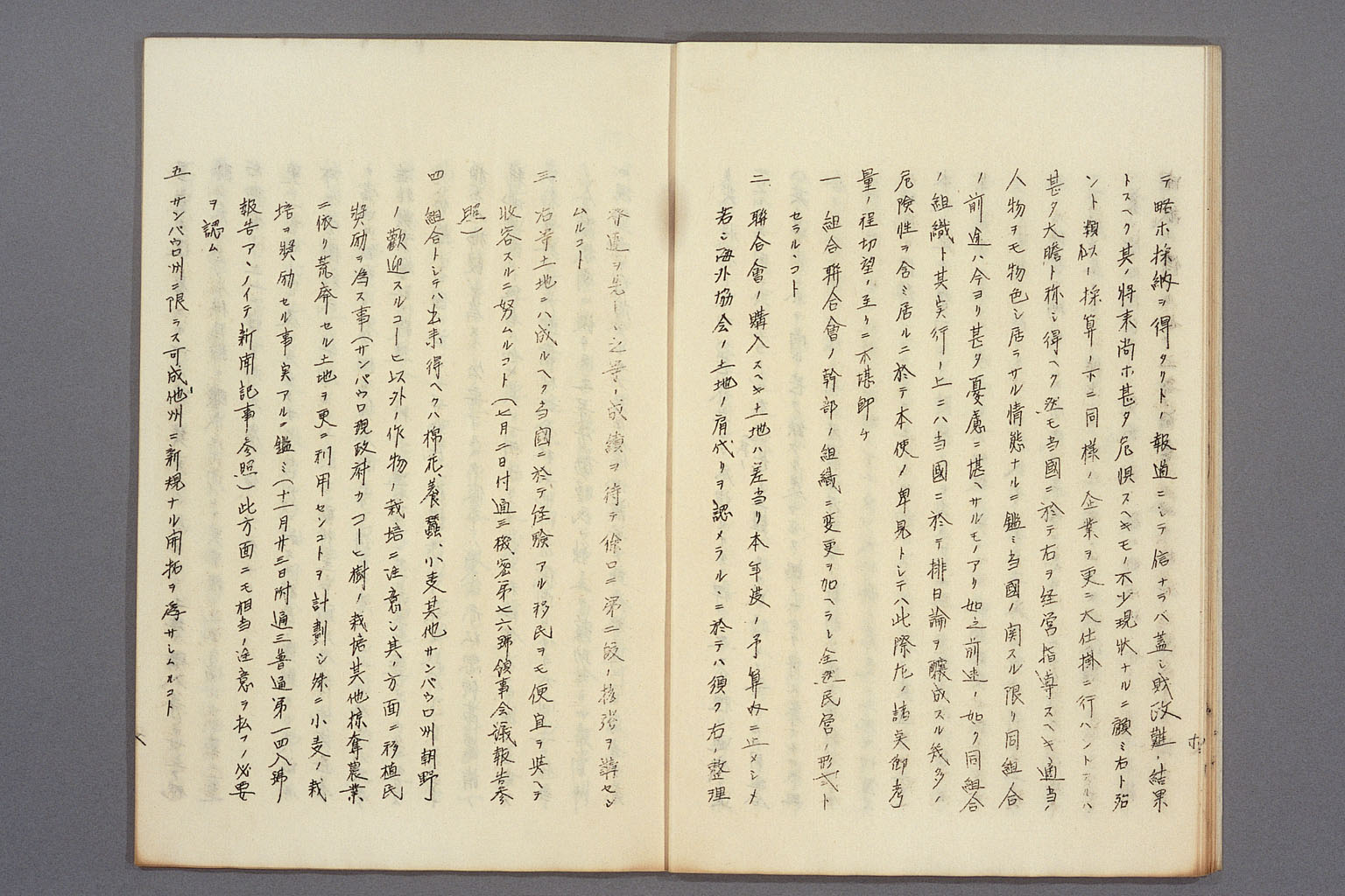 画像『海外移住組合の方針をめぐる現地公館と外務本省とのやりとり』