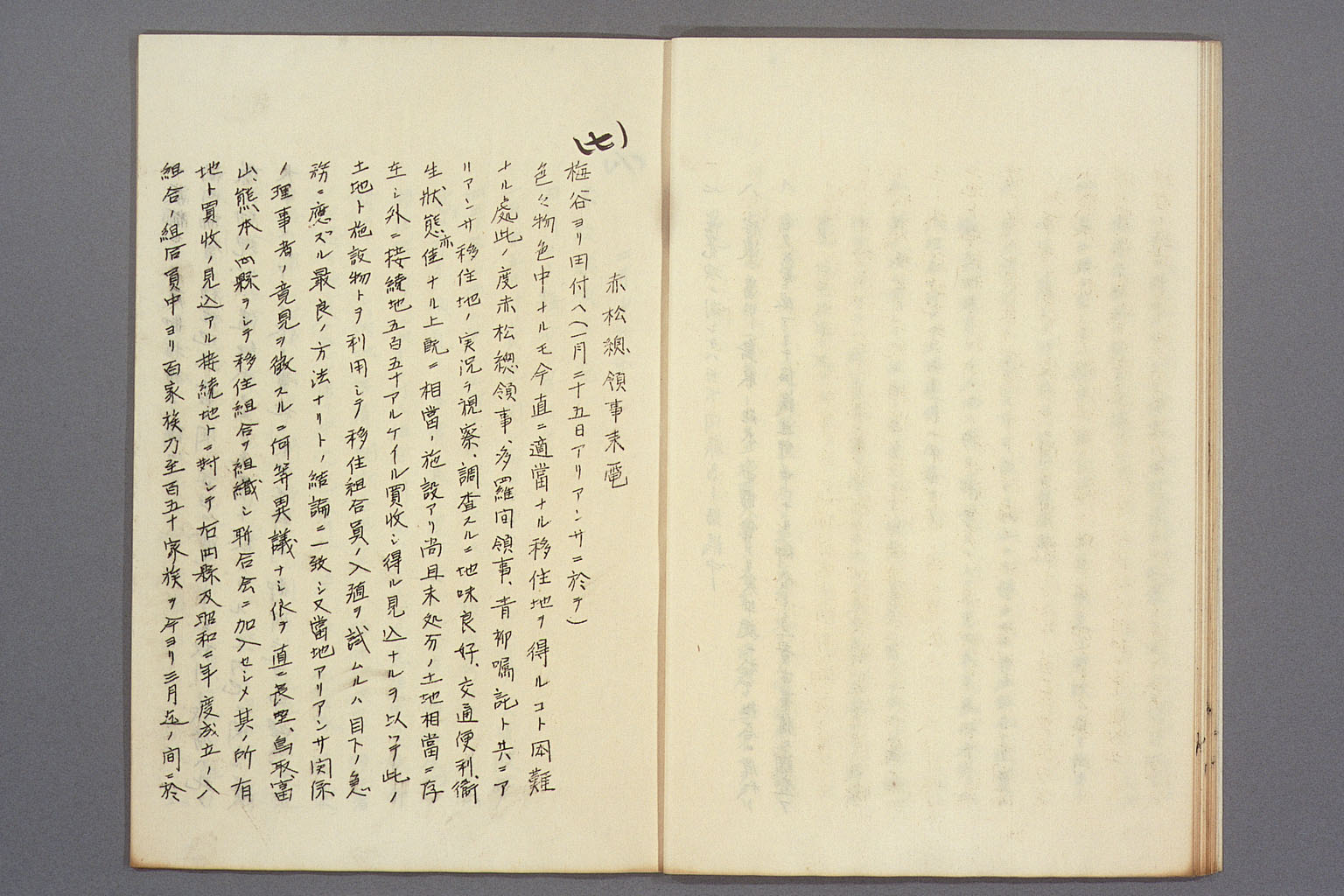 画像『海外移住組合の方針をめぐる現地公館と外務本省とのやりとり』