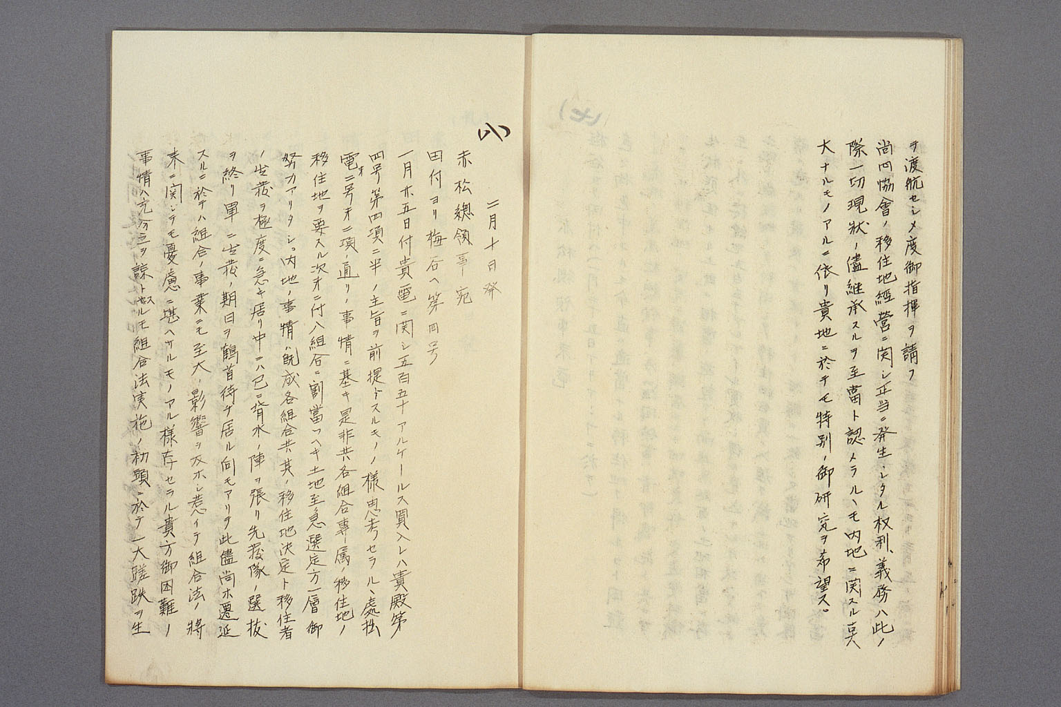 画像『海外移住組合の方針をめぐる現地公館と外務本省とのやりとり』