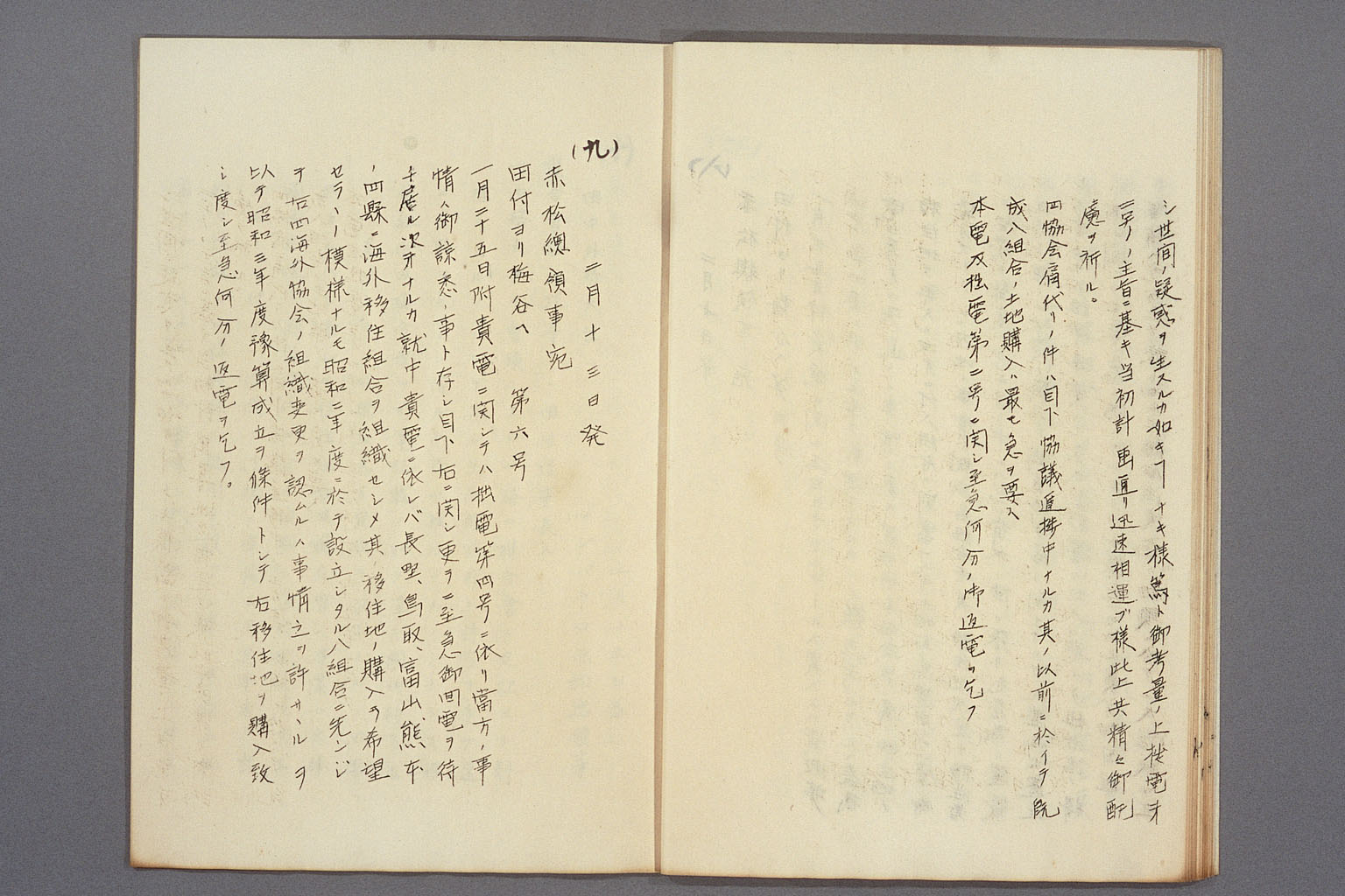 画像『海外移住組合の方針をめぐる現地公館と外務本省とのやりとり』