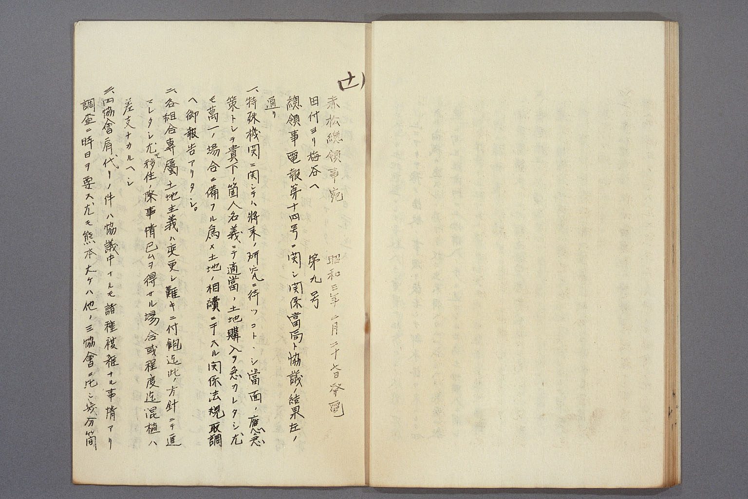 画像『海外移住組合の方針をめぐる現地公館と外務本省とのやりとり』