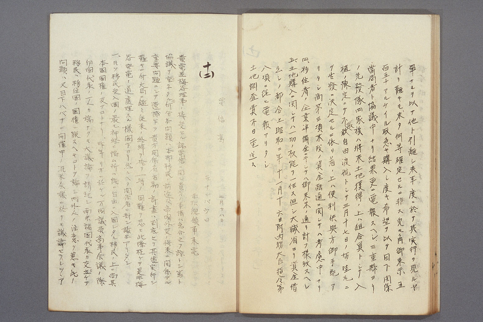 画像『海外移住組合の方針をめぐる現地公館と外務本省とのやりとり』