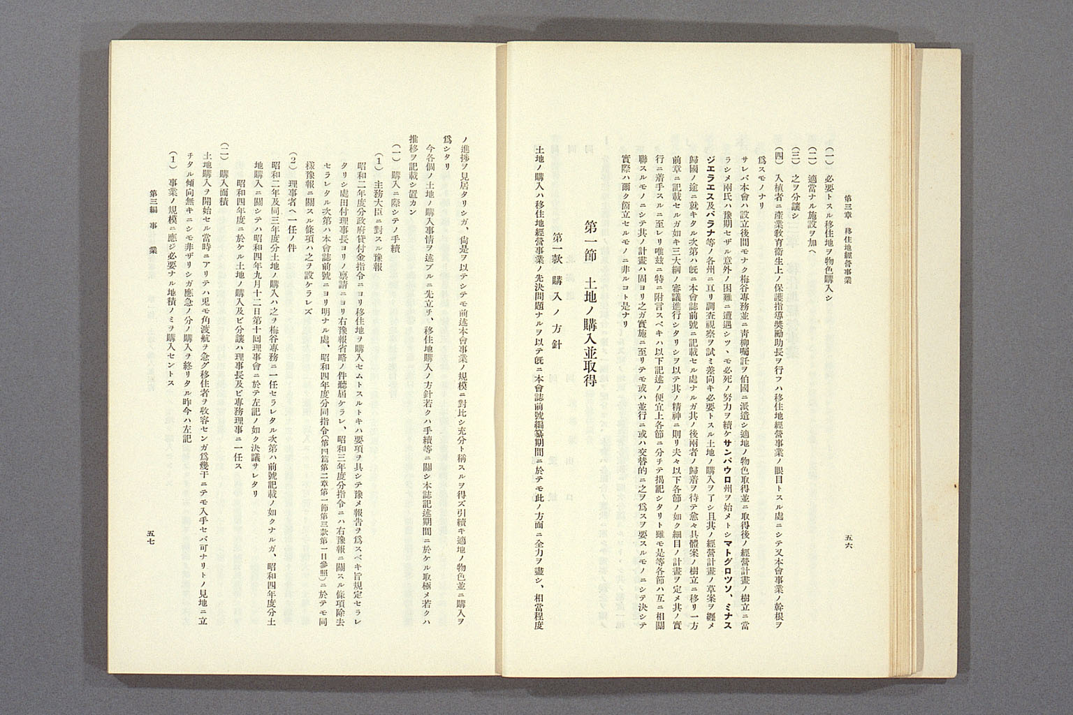 Image “Details of a policy change from the principle of separate management by each prefecture to the principle of mixing Japanese and foreigner migrants”