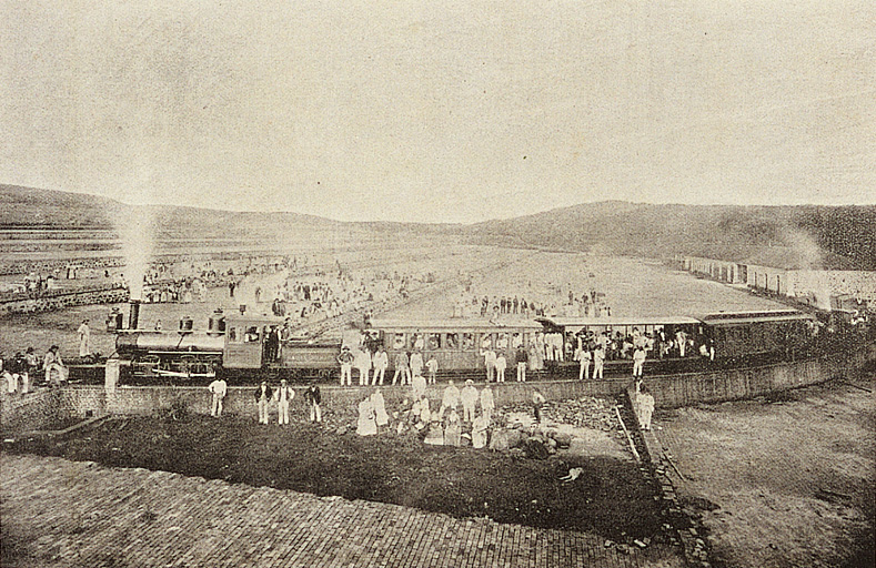 Image “View of coffee plantation in Dumont, São Paulo”