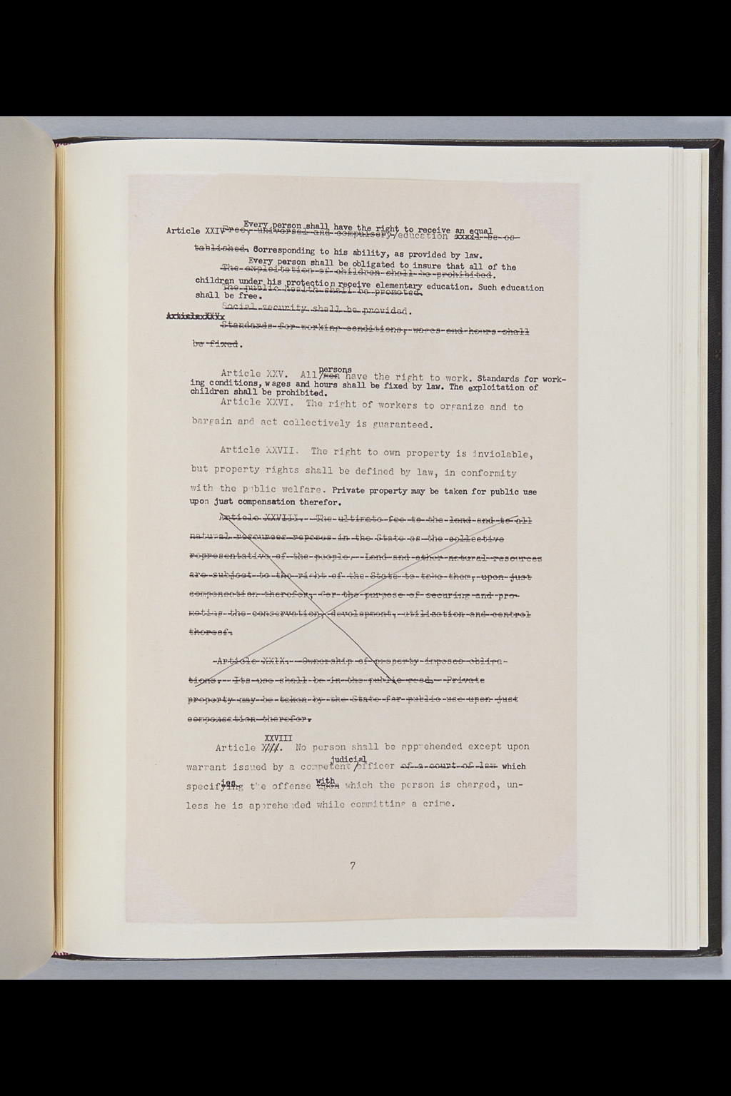 [Alfred Hussey Papers; Constitution File No. 1](Larger image)