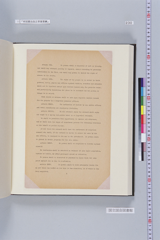 [Alfred Hussey Papers; Constitution File No. 1](Regular image)