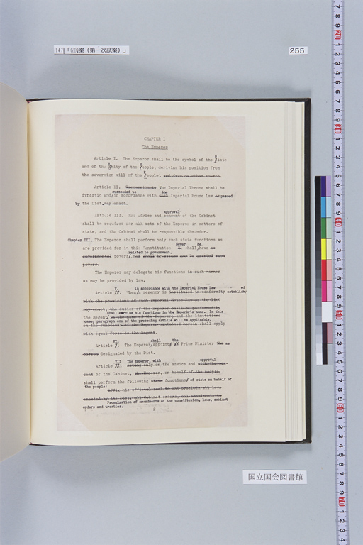 [Alfred Hussey Papers; Constitution File No. 1](Regular image)