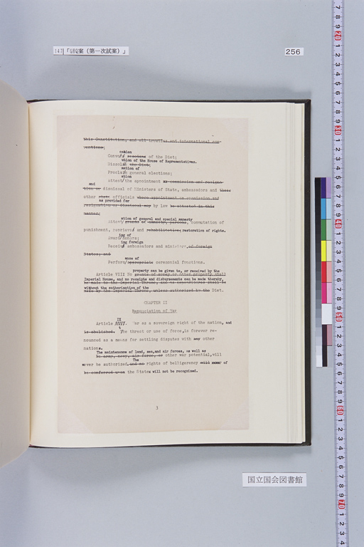 [Alfred Hussey Papers; Constitution File No. 1](Regular image)