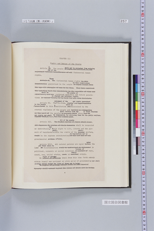 [Alfred Hussey Papers; Constitution File No. 1](Regular image)