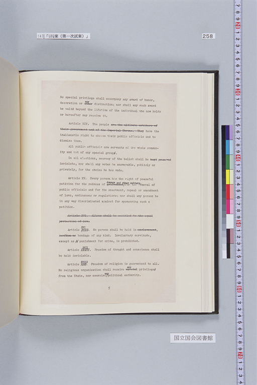 [Alfred Hussey Papers; Constitution File No. 1](Regular image)