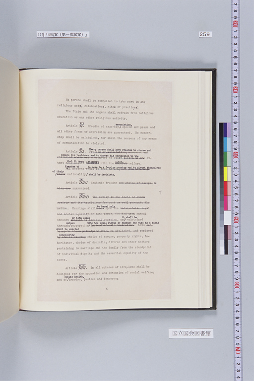 [Alfred Hussey Papers; Constitution File No. 1](Regular image)