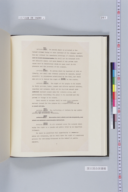 [Alfred Hussey Papers; Constitution File No. 1](Regular image)