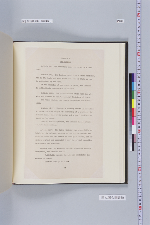 [Alfred Hussey Papers; Constitution File No. 1](Regular image)