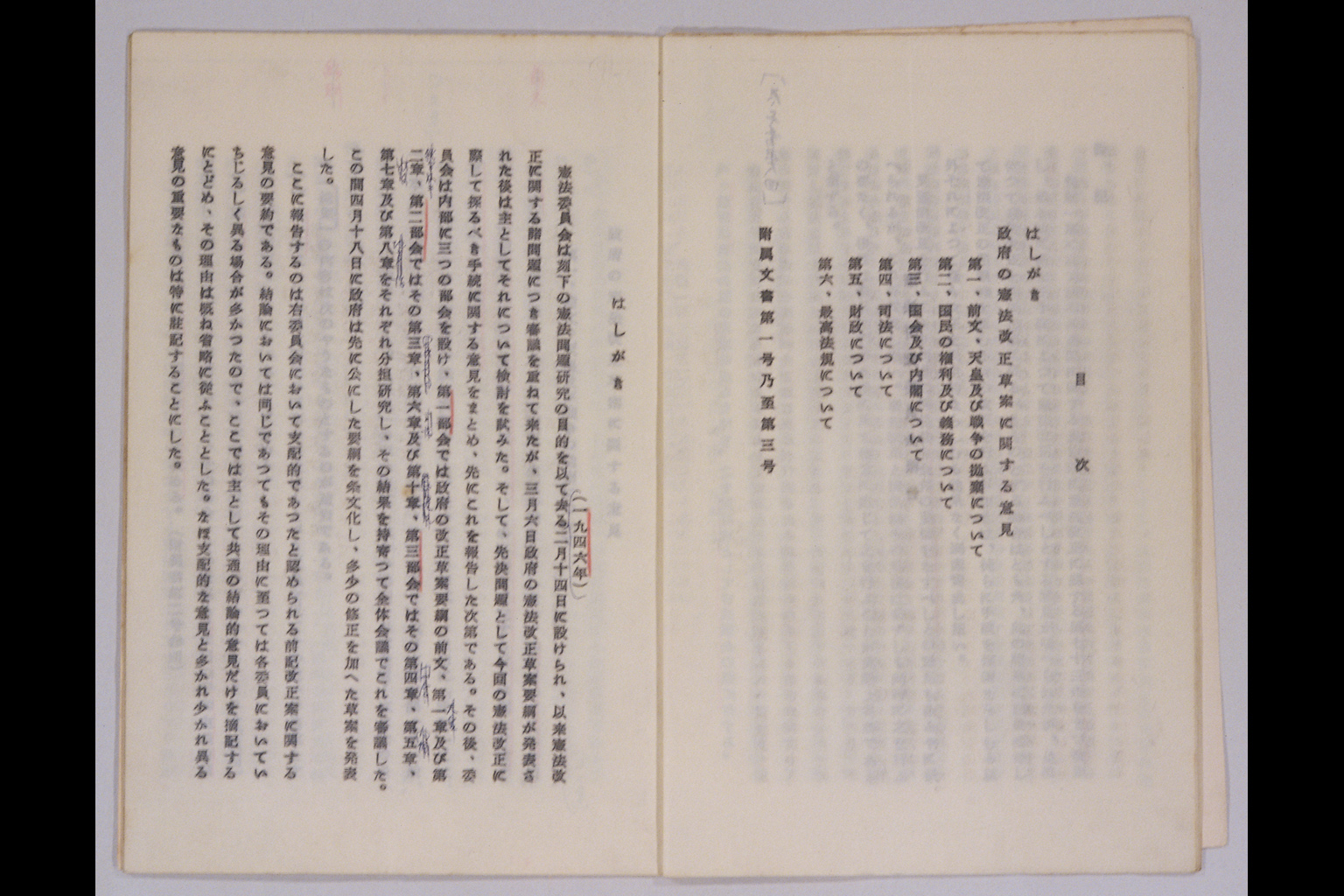 『東京帝国大学憲法研究委員会報告書』(拡大画像)