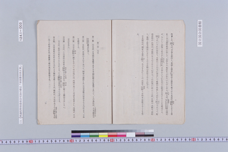 『報告書 帝国憲法改正案（政府提出）』(標準画像)