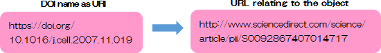 DOI name as URI https://doi.org/10.1016/j.cell.2007.11.019 can be resolved to URL related to the object http://www.sciencedirect.com/science/article/pii/S0092867407014717.
