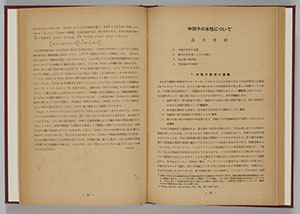 115 「中間子の本性について」（湯川秀樹 著）の画像