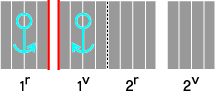 Development elevation (ordering 1r, 1v, 2r, 2v. Watermark appears on 1r and 1v)