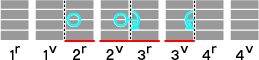 Development elevation (ordering 1r, 1v, 2r, 2v, 3r, 3v, 4r, 4v. Watermark appears on 2r, 2v, 3r and 3v)