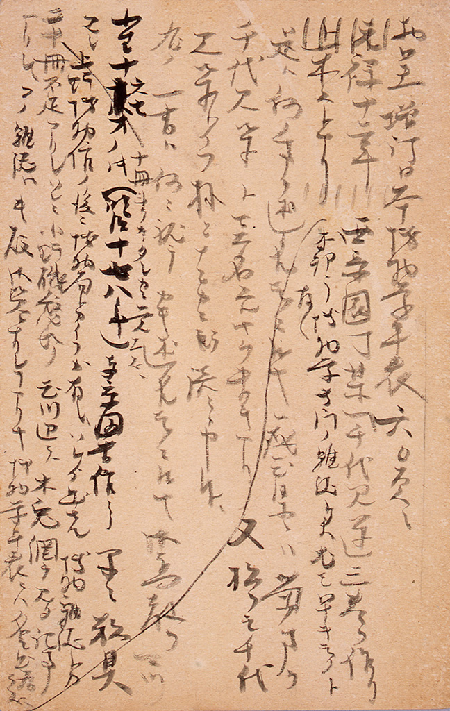 「白井光太郎宛書簡」の拡大画像1コマ目