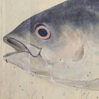 魚へんに「所有」の有