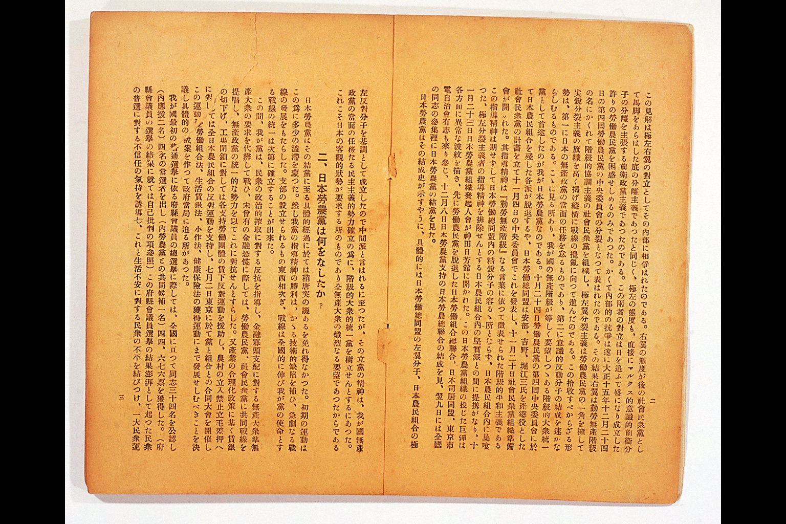 Measure and Report of the Japan Ronoto Party Headquarters, Presented at Its First National Convention(larger)