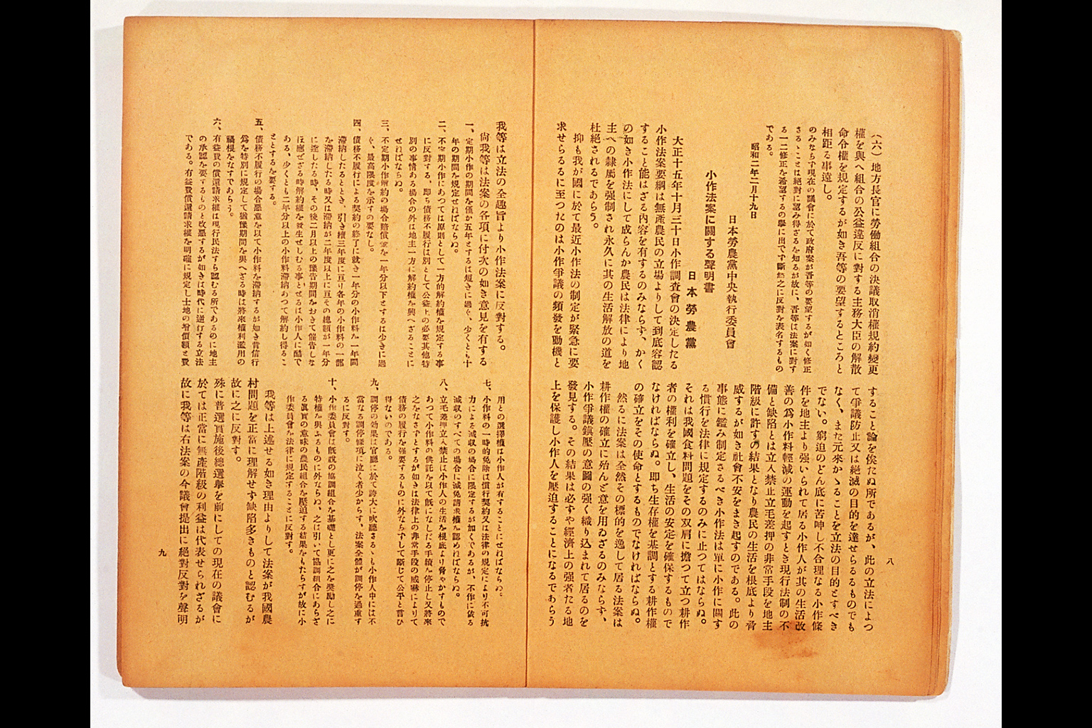 Measure and Report of the Japan Ronoto Party Headquarters, Presented at Its First National Convention(larger)