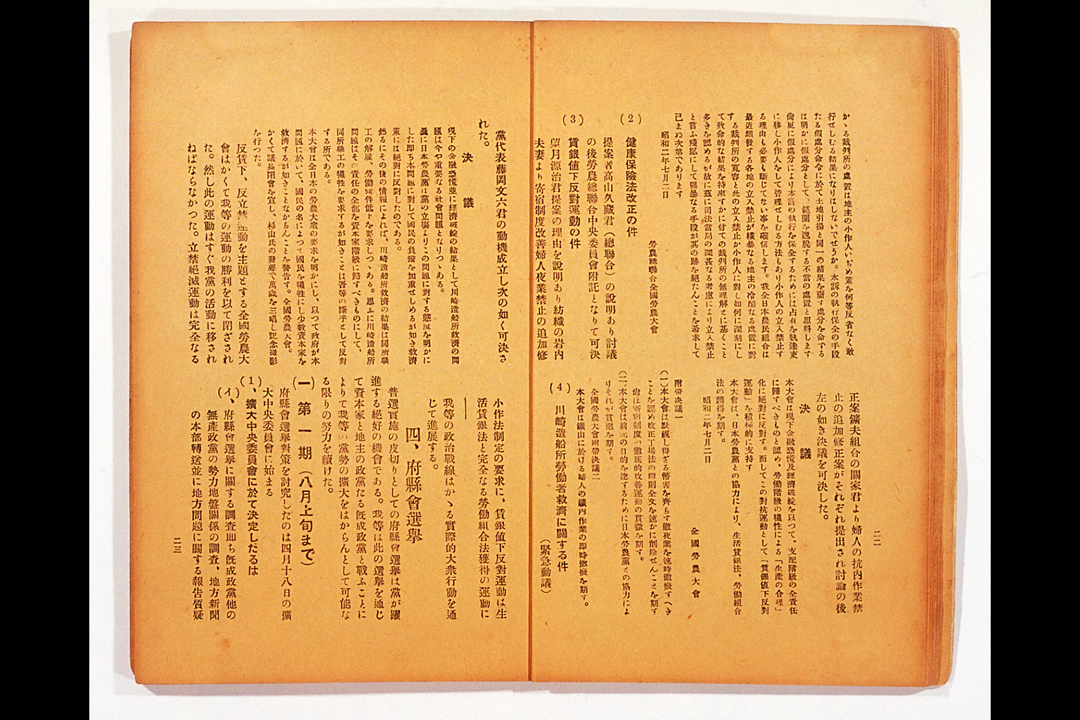 Measure and Report of the Japan Ronoto Party Headquarters, Presented at Its First National Convention(larger)