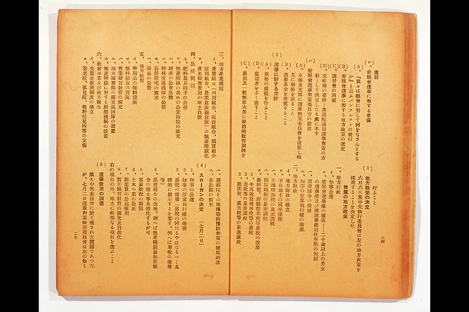 Measure and Report of the Japan Ronoto Party Headquarters, Presented at Its First National Convention(larger)