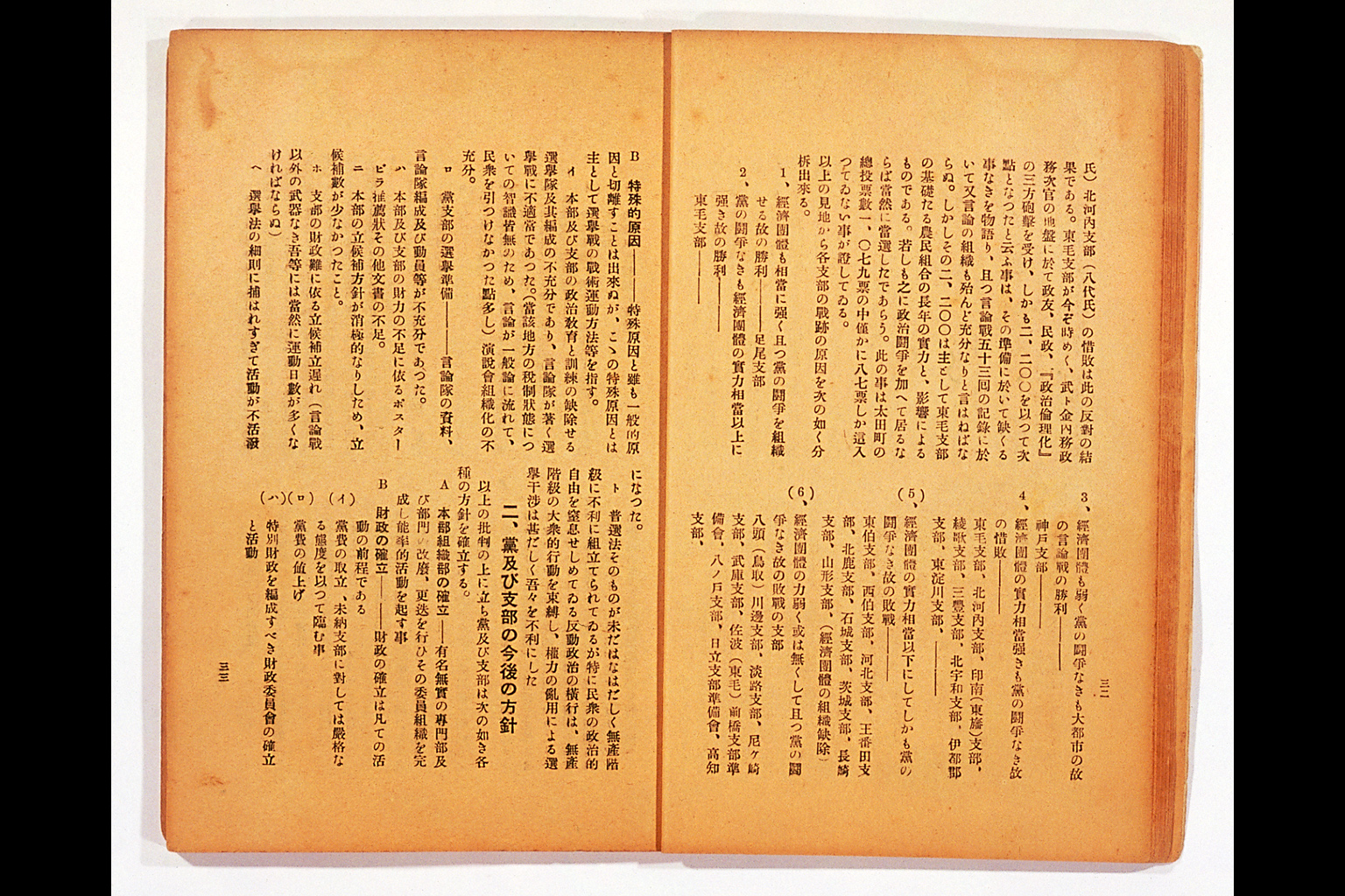 Measure and Report of the Japan Ronoto Party Headquarters, Presented at Its First National Convention(larger)