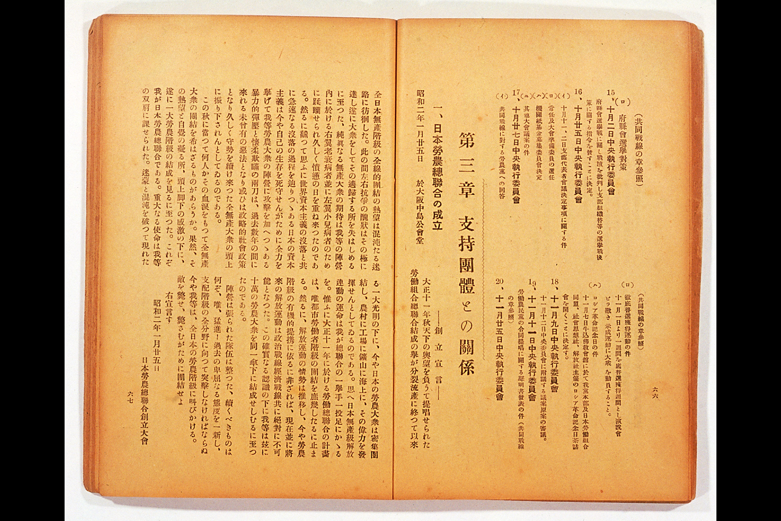 Measure and Report of the Japan Ronoto Party Headquarters, Presented at Its First National Convention(larger)