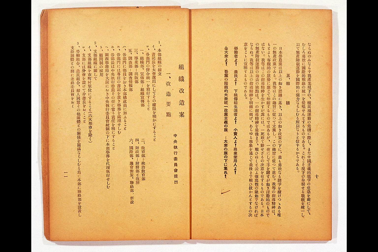 Measure and Report of the Japan Ronoto Party Headquarters, Presented at Its First National Convention(larger)