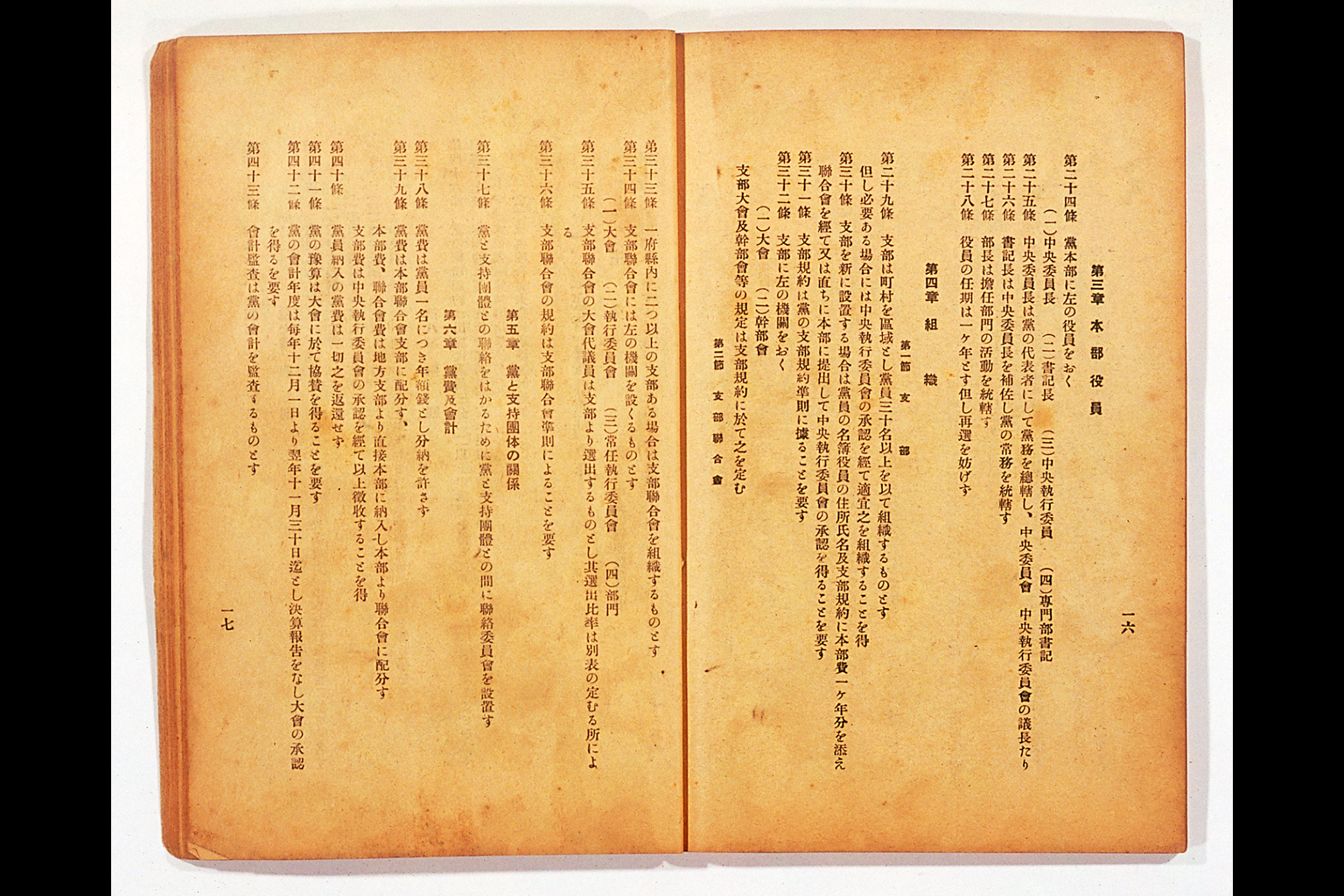 Measure and Report of the Japan Ronoto Party Headquarters, Presented at Its First National Convention(larger)