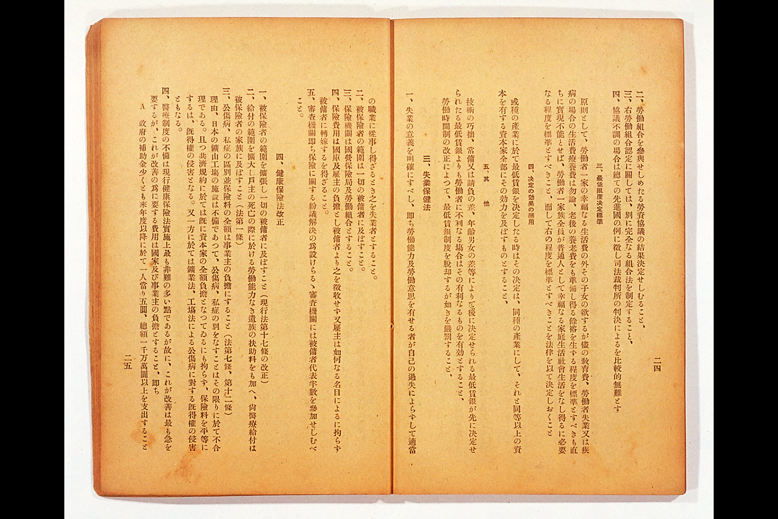 Measure and Report of the Japan Ronoto Party Headquarters, Presented at Its First National Convention(larger)