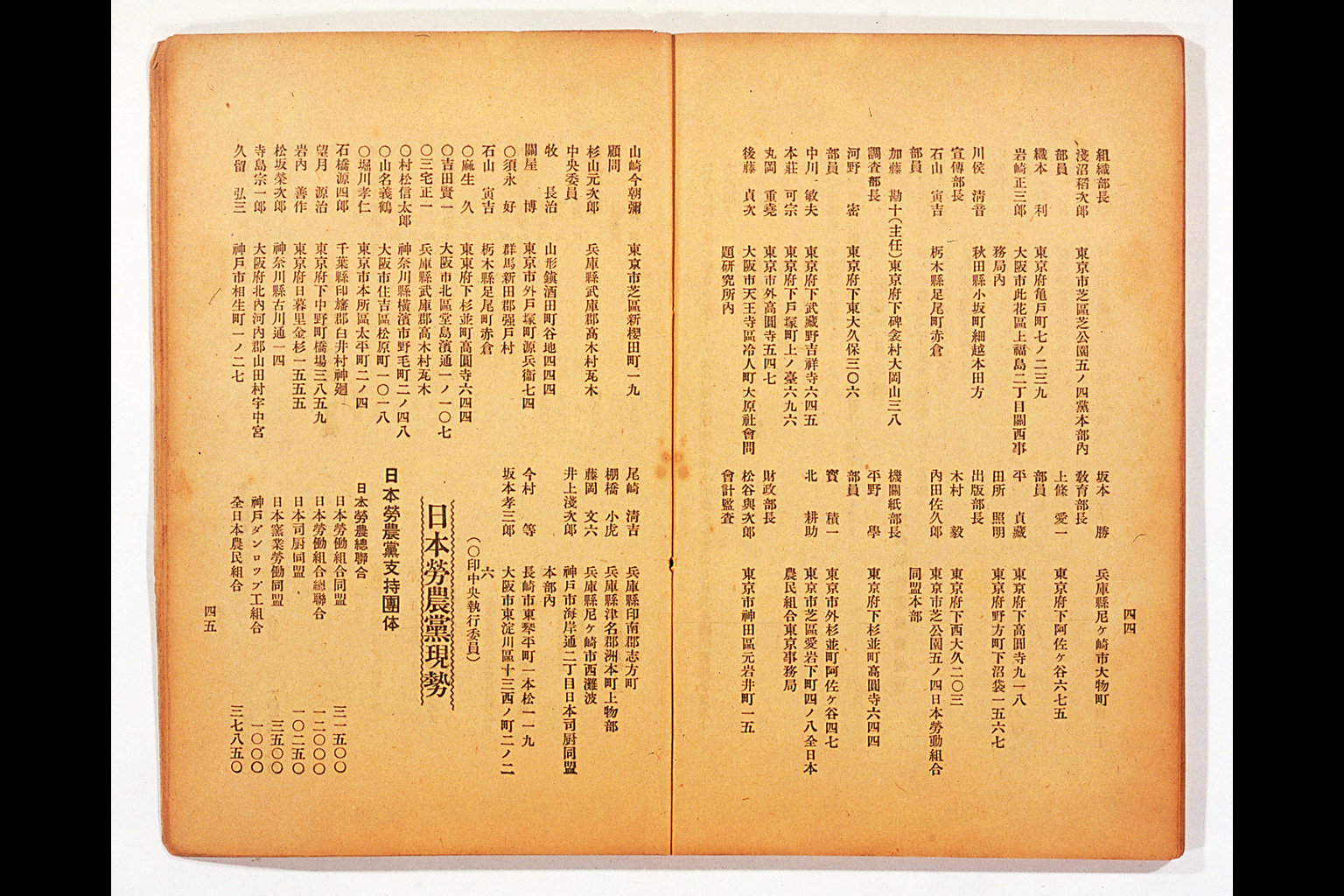 Measure and Report of the Japan Ronoto Party Headquarters, Presented at Its First National Convention(larger)