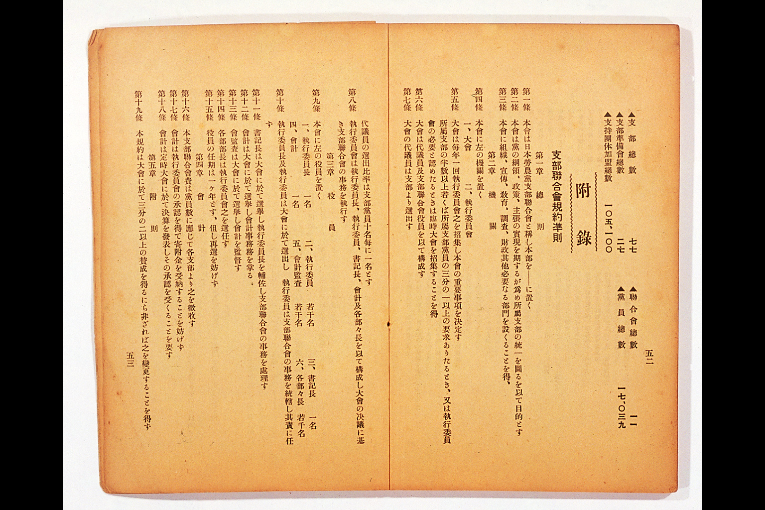 Measure and Report of the Japan Ronoto Party Headquarters, Presented at Its First National Convention(larger)