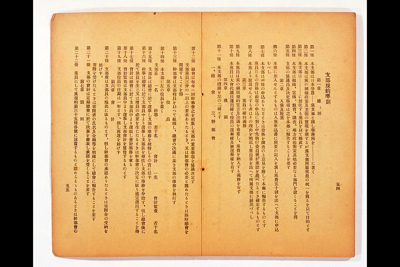 Measure and Report of the Japan Ronoto Party Headquarters, Presented at Its First National Convention(larger)