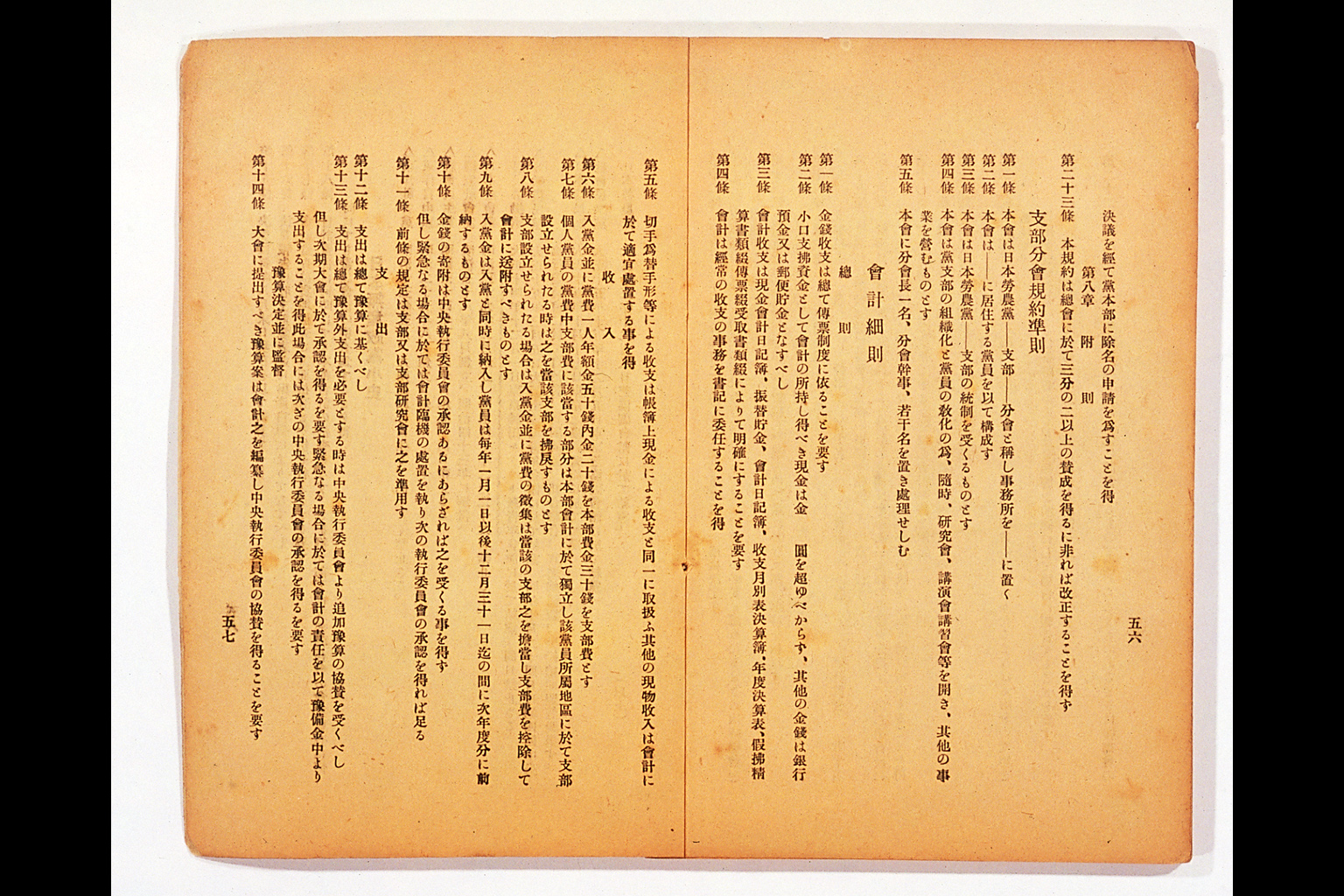 Measure and Report of the Japan Ronoto Party Headquarters, Presented at Its First National Convention(larger)