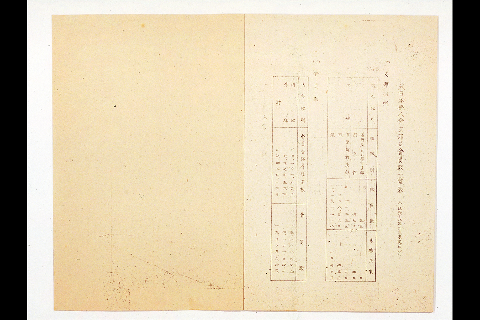 Overview of Great Japan Women's Association(larger)