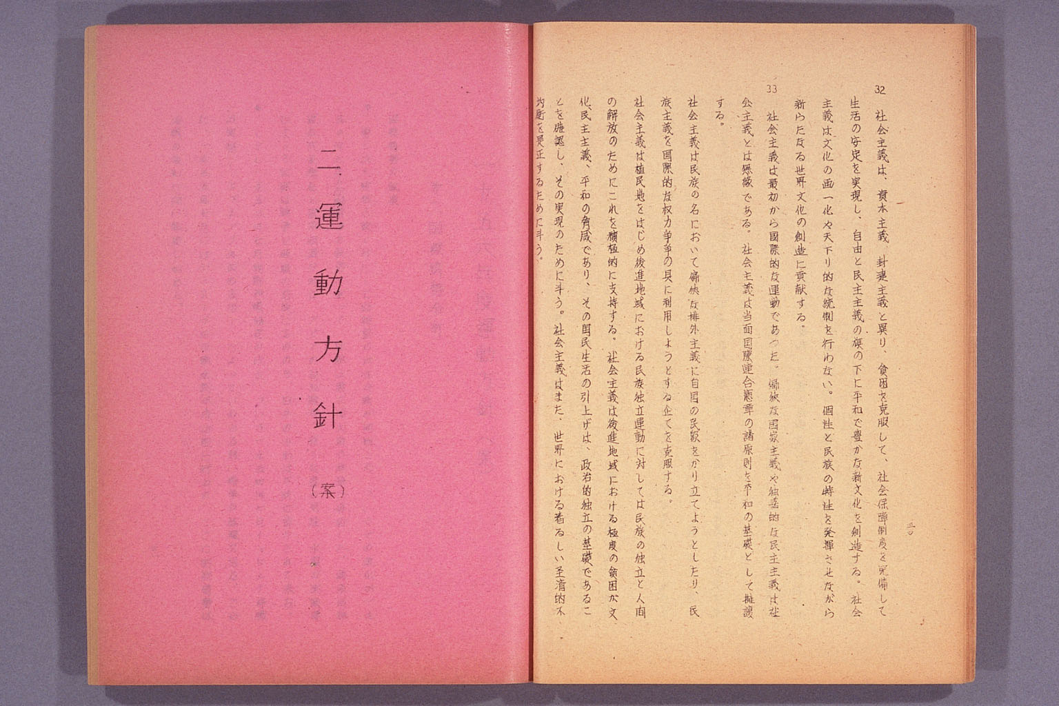 日本社会党綱領・運動方針・政策大綱 (拡大画像)