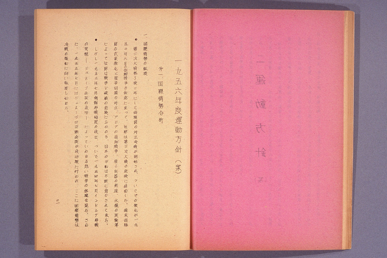 日本社会党綱領・運動方針・政策大綱 (拡大画像)