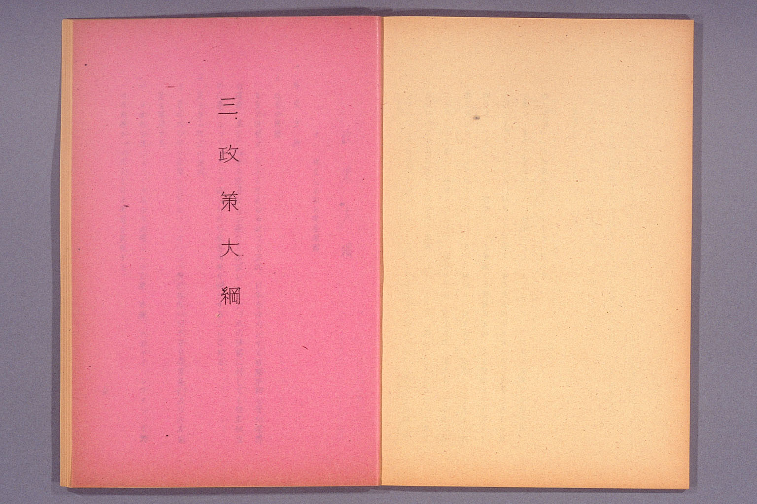 日本社会党綱領・運動方針・政策大綱 (拡大画像)