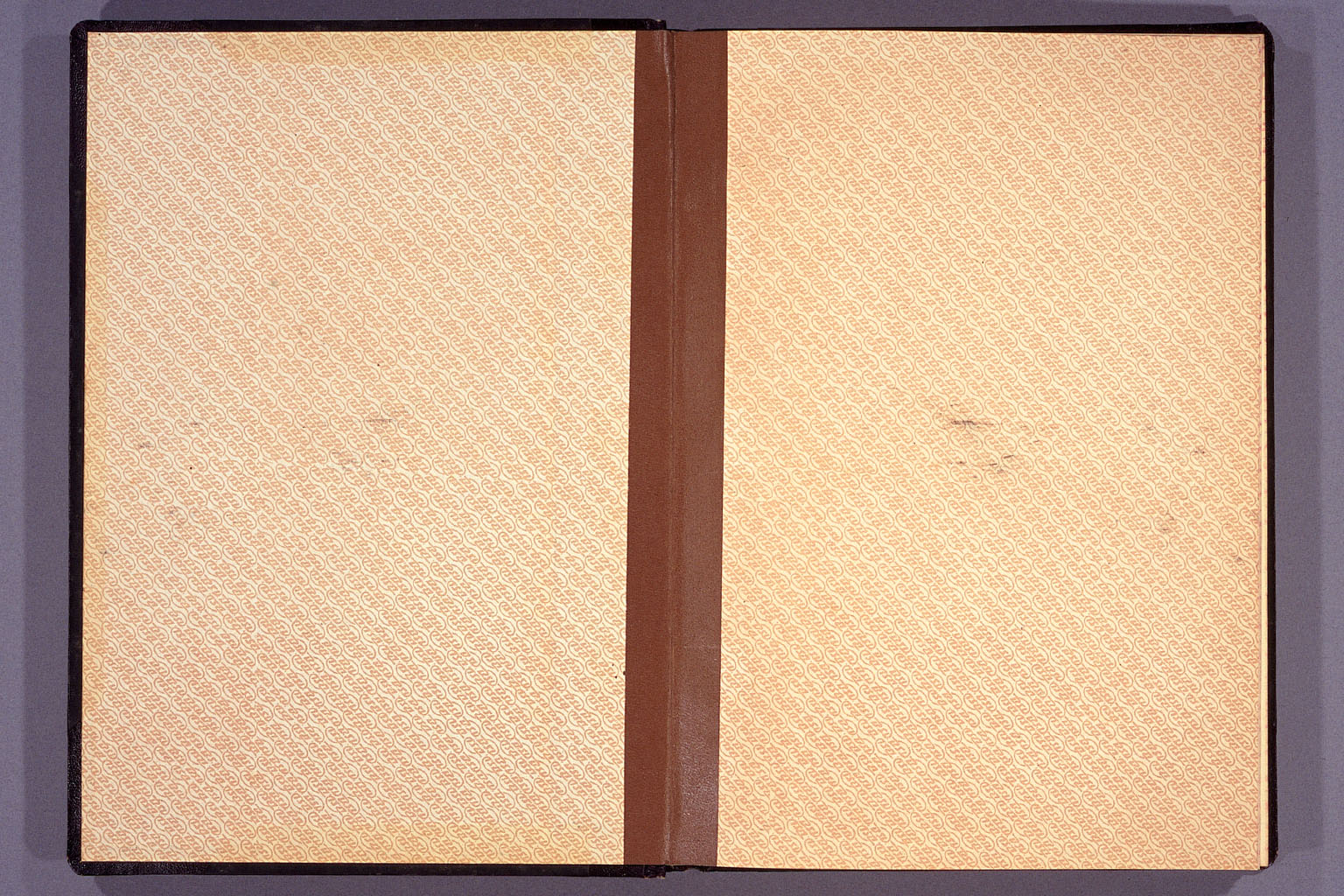 Diary from the end of March 1955 to September 15, 1955 (larger)