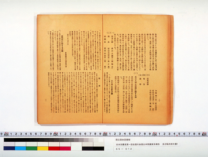 Measure and Report of the Japan Ronoto Party Headquarters, Presented at Its First National Convention (preview)