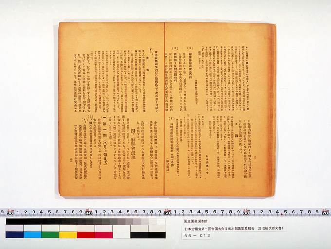 Measure and Report of the Japan Ronoto Party Headquarters, Presented at Its First National Convention (preview)