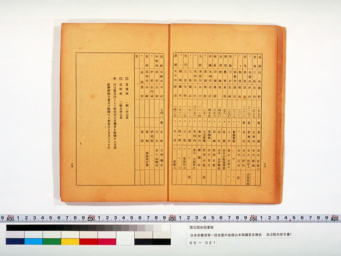 Measure and Report of the Japan Ronoto Party Headquarters, Presented at Its First National Convention (preview)