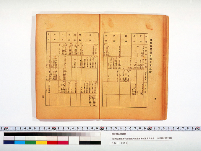 Measure and Report of the Japan Ronoto Party Headquarters, Presented at Its First National Convention (preview)