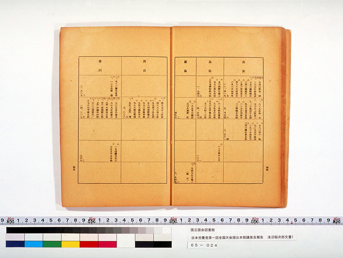 Measure and Report of the Japan Ronoto Party Headquarters, Presented at Its First National Convention (preview)